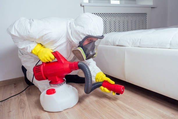 Best Local Pest Control Services  in Chlicothe, IL