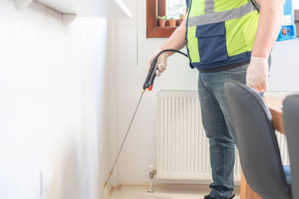 Flea Control Services in Chillicothe, IL
